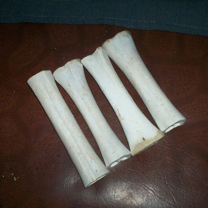Natural Buffalo Bone Pipes