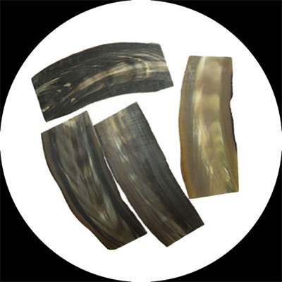 Natural Buffalo Curved Horn Plates