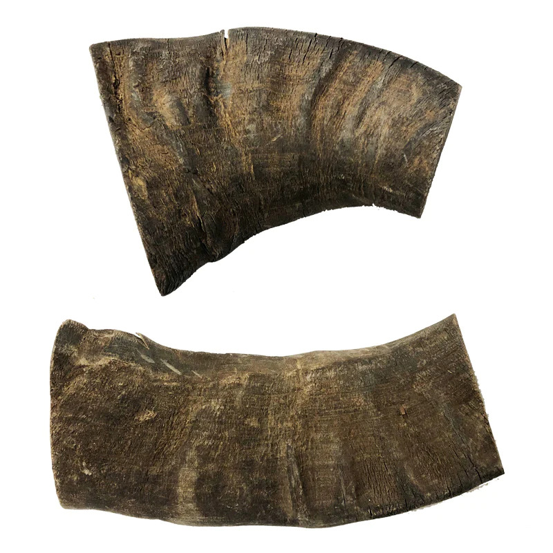 Natural Buffalo Horn Tubes 60