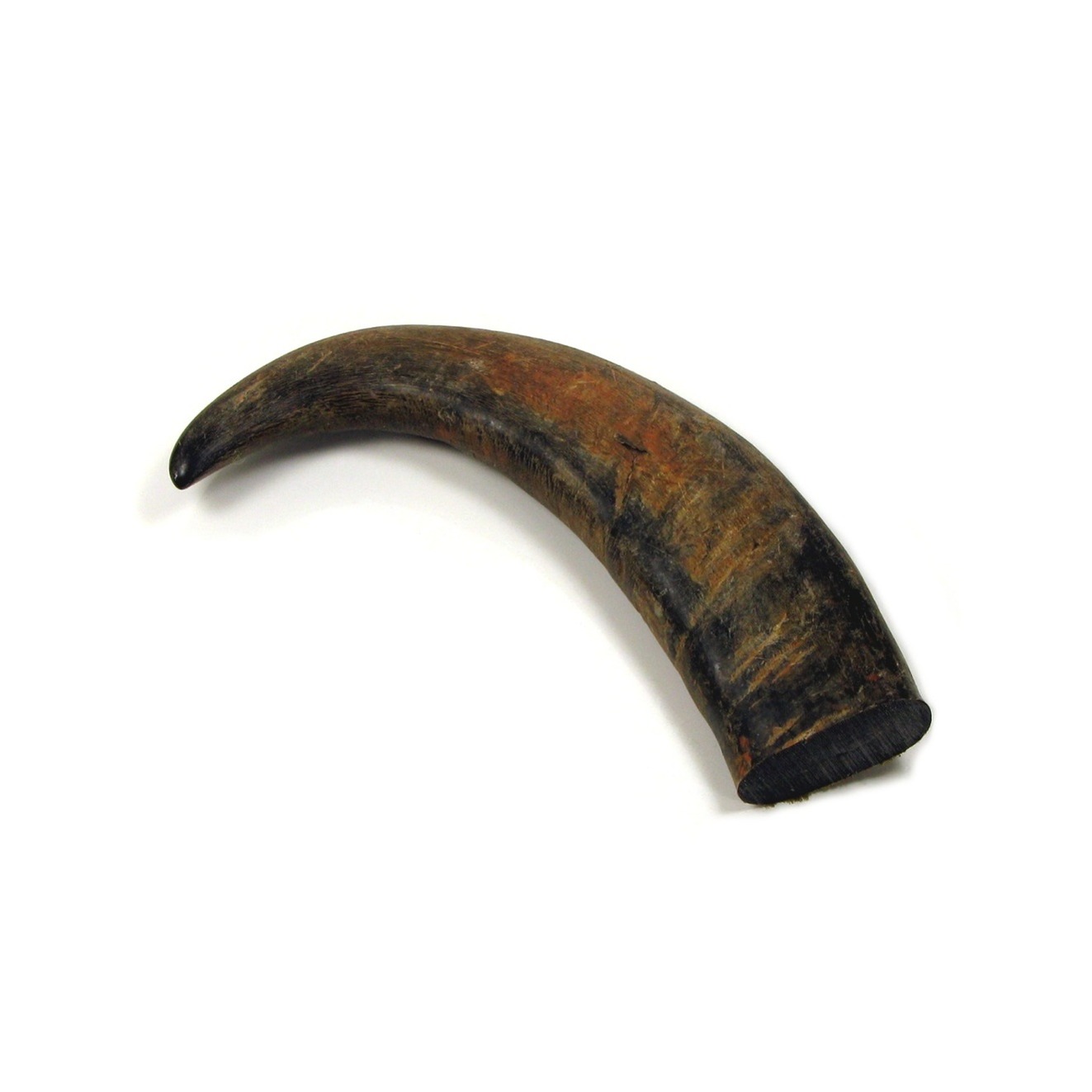  Buffalo Horn Tips 170